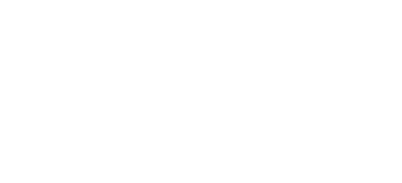 AuditorAgent