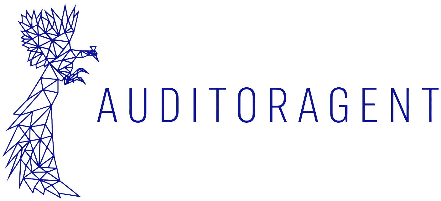 AuditorAgent
